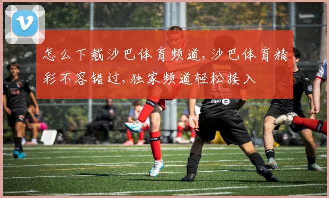 怎么下载沙巴体育频道,沙巴体育精彩不容错过,独家频道轻松接入