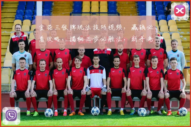 金花三张牌玩法技巧视频，赢钱必看攻略，揭秘三步必胜法，新手老手皆宜，学会不再输