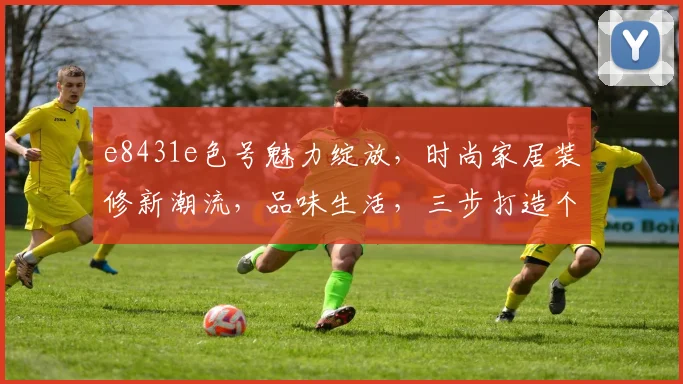 e8431e色号魅力绽放，时尚家居装修新潮流，品味生活，三步打造个性空间，家居美学，一触即发
