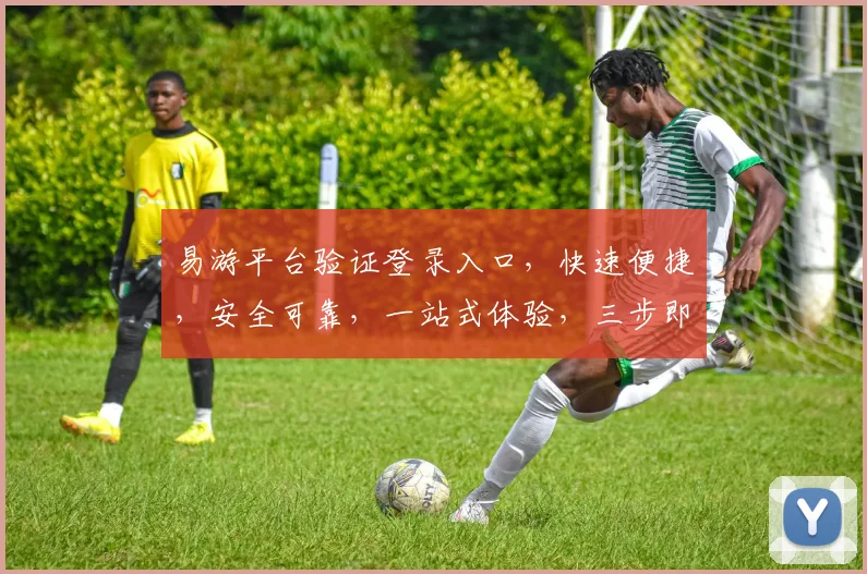 易游平台验证登录入口，快速便捷，安全可靠，一站式体验，三步即可登录，不容错过