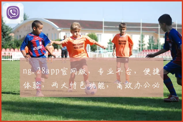 ng.28app官网版，专业平台，便捷体验，两大特色功能，高效办公必备