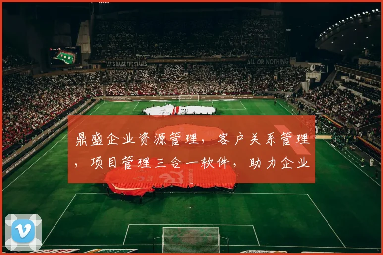鼎盛企业资源管理，客户关系管理，项目管理三合一软件，助力企业高效运营