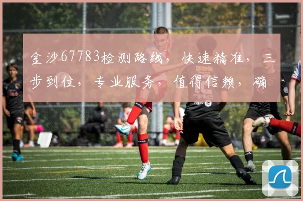 金沙67783检测路线，快速精准，三步到位，专业服务，值得信赖，确保安全。
