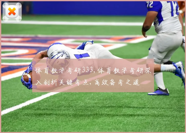 体育教学考研333,体育教学考研深入剖析关键考点,高效备考之道